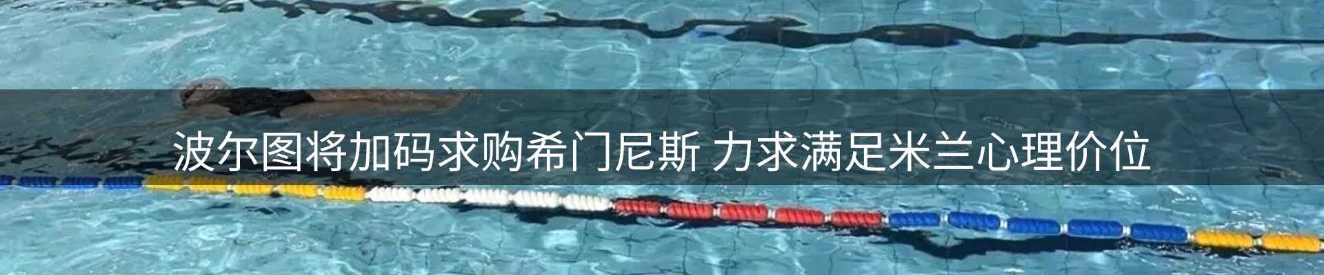 新闻资讯